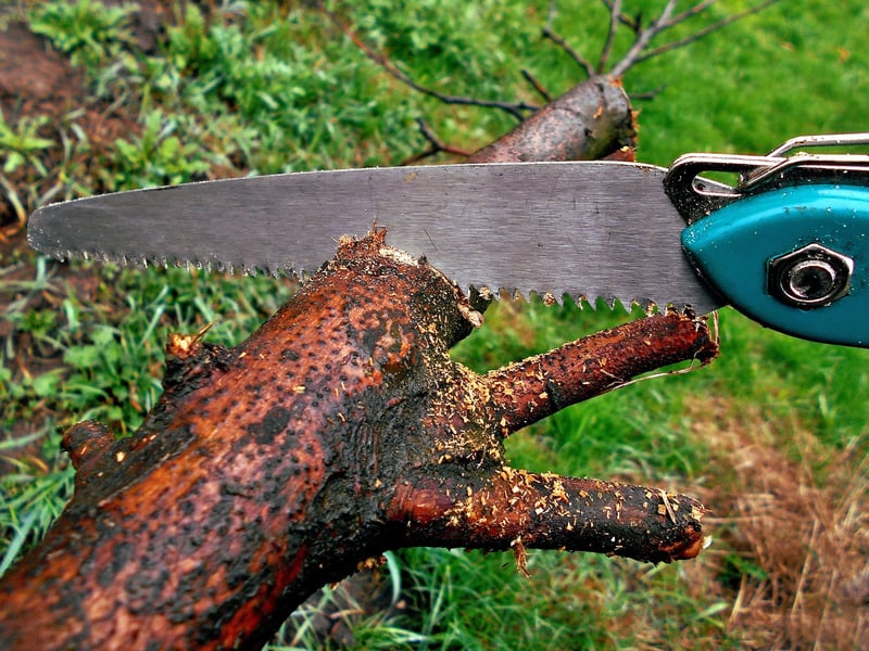 Pruning Techniques